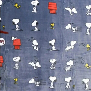 Snoopy and Woodstock play throw Berkshire Peanuts. Very pretty. New